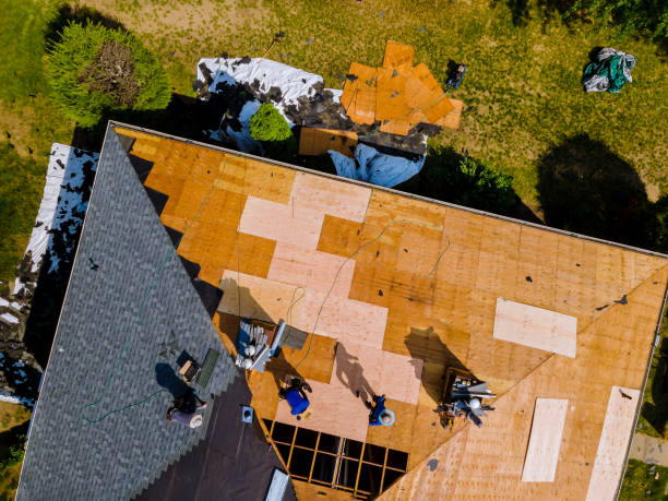 Roof Gutter Cleaning in Moultrie, GA