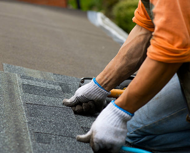 Best Metal Roofing Contractor  in Moultrie, GA